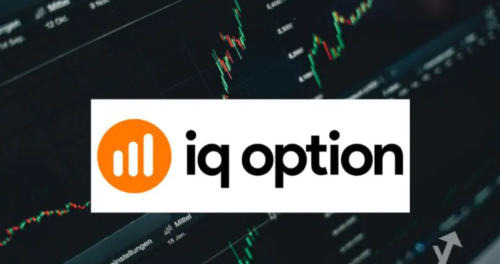 How to Change Display Language in IQ Option? 3